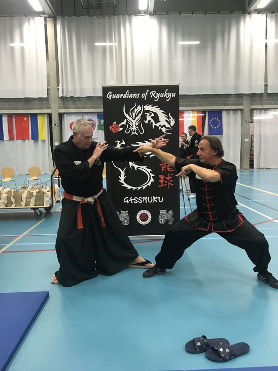 Workshops Zelfverdediging 2 Grootmeesters Walter Toch & van Vre