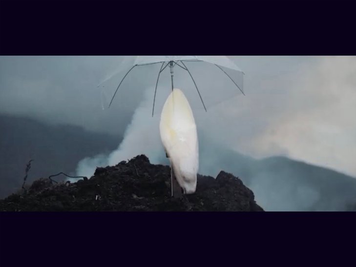 Tentoonstellingen Grégoire Motte - Nacht Witloof