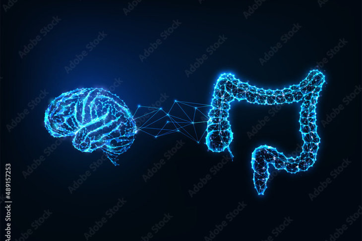 Workshops Verbeter darmfunctie, activeer brein - proefles