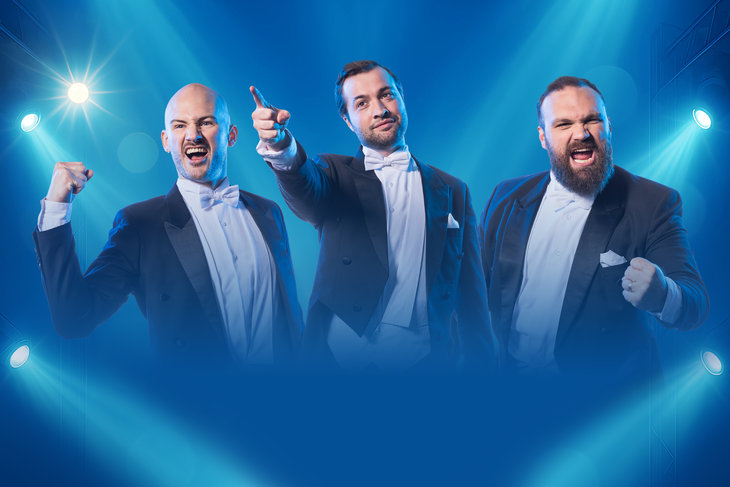 Voorstellingen The Diamond Baritones | Circle Life