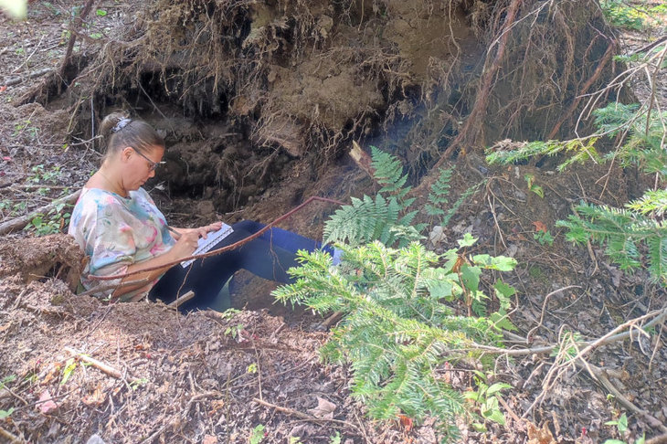 Workshops Natuur, intuïtie zelfreflectie - online