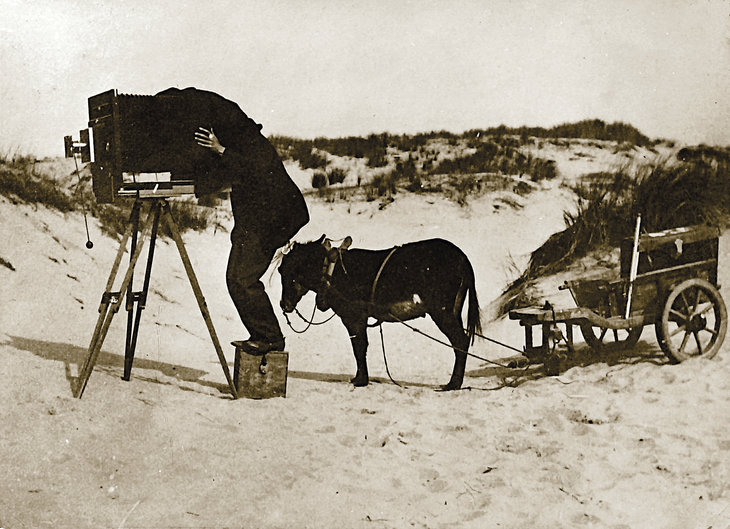 Tentoonstellingen Expo: Ontdek natuur door lens Jean Massart