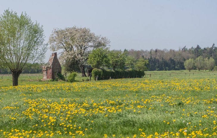 Ontspanning Houtlandtrail | - - & km