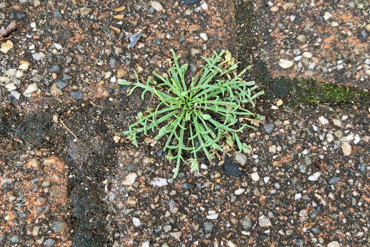 Workshops Everything interesting