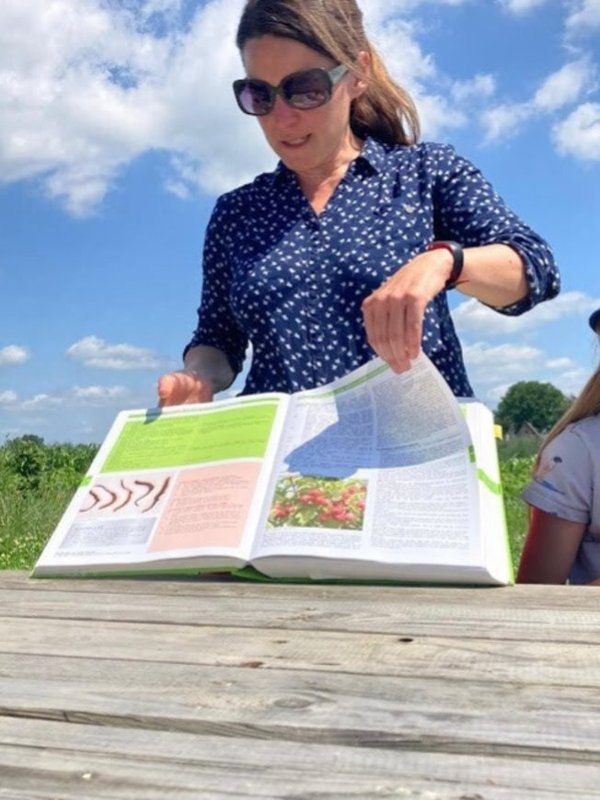 Ontspanning De Kruidenclub Jaartraject 2026