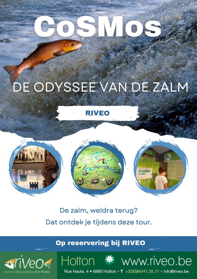 Ontspanning CoSMos - Odysse de zalm