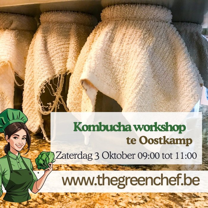 Workshops Brouw eigen Kombucha