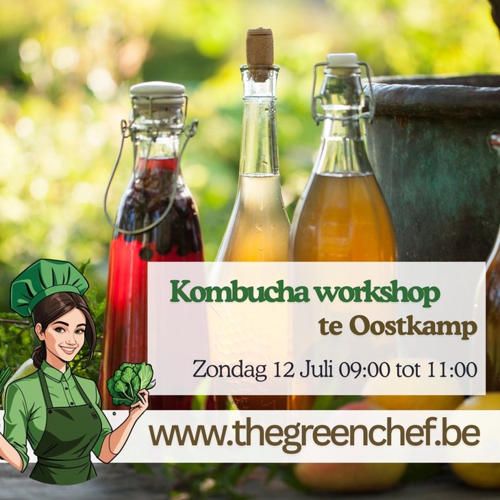 Workshops Brouw eigen Kombucha