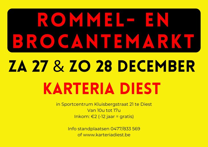  Grote daagse rommel brocantemarkt