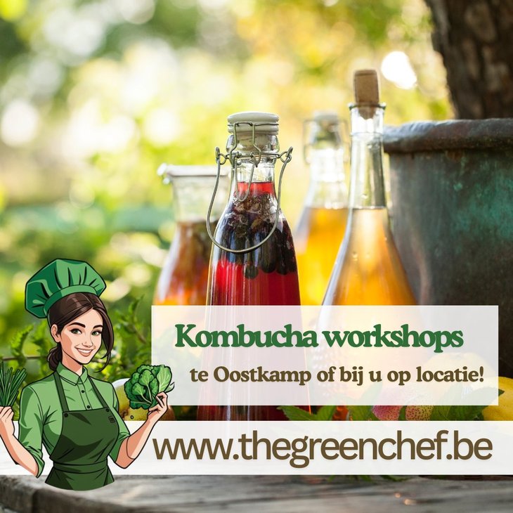 Workshops Teambuilding Kombucha Brouwen