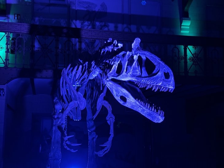 Tentoonstellingen Family Night