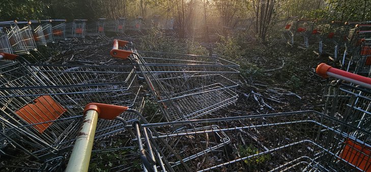 Ontspanning Open Domein Dag