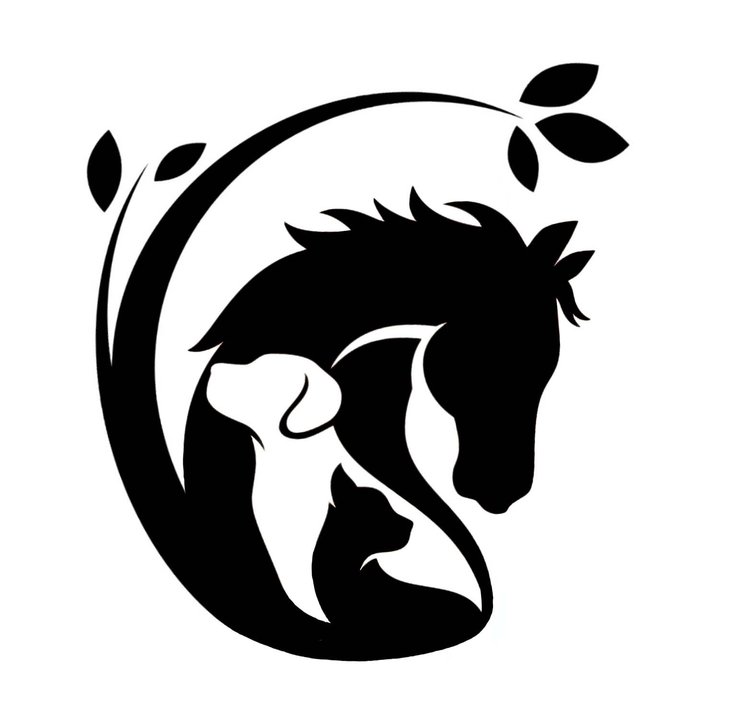 Voorstellingen Sterrenpootjesdag