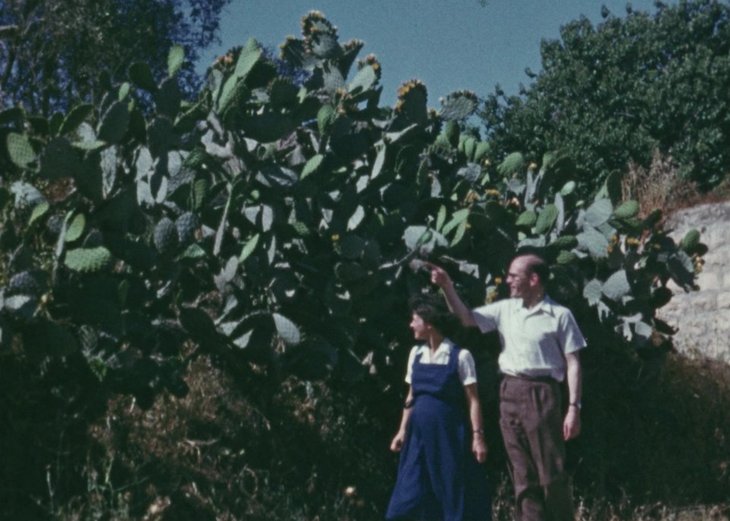 Voorstellingen The Colonial Film Gaze Palestinian Counternarratives