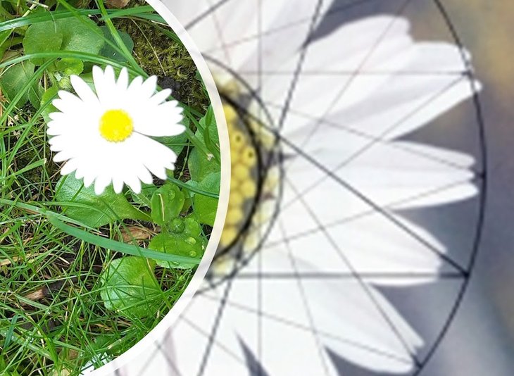 Workshops Leergang Heilige Geometrie