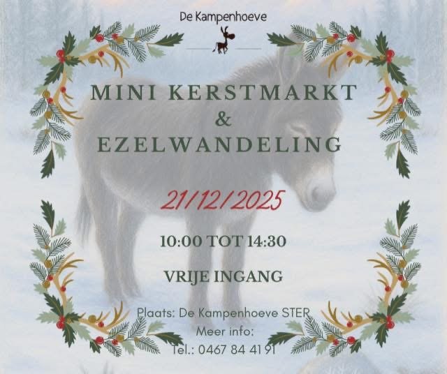 Kerstmarkten Kerstmarktje De Kampenhoeve