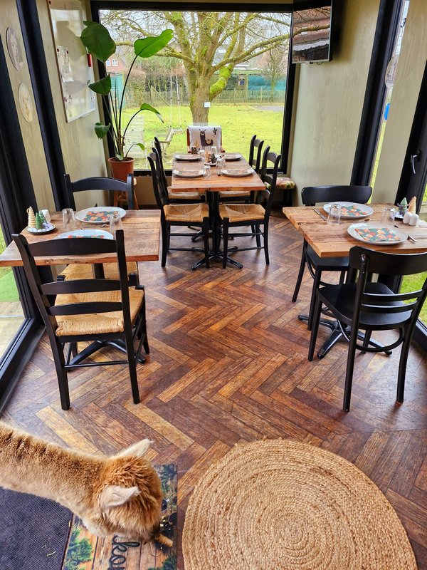 Ontspanning Ontbijten de alpaca s