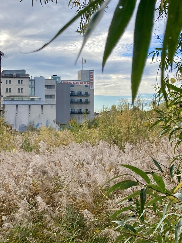 Ontspanning Rondleiding het Wielsmoeras door Fé.e !