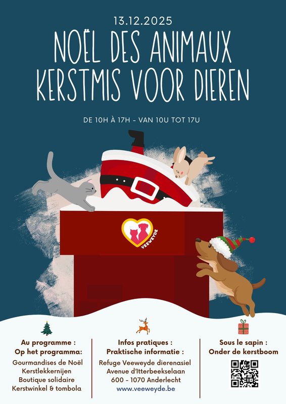 Ontspanning Kerstmis voor dieren