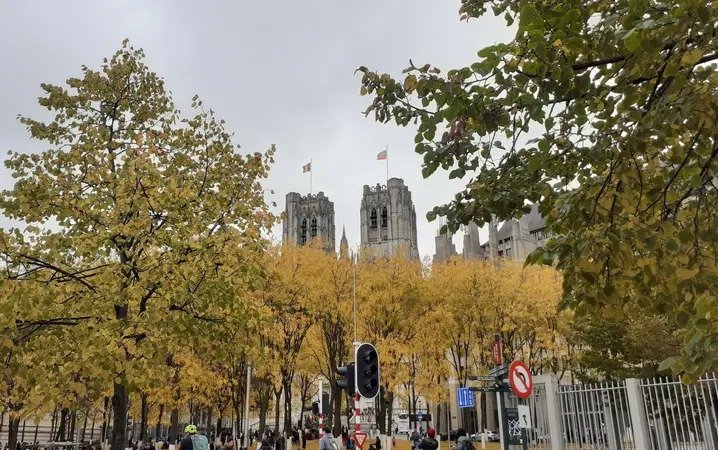 Concerten Advent : korenfestival