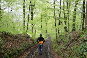 Workshops De natuur spiegel jouw ziel - proefles