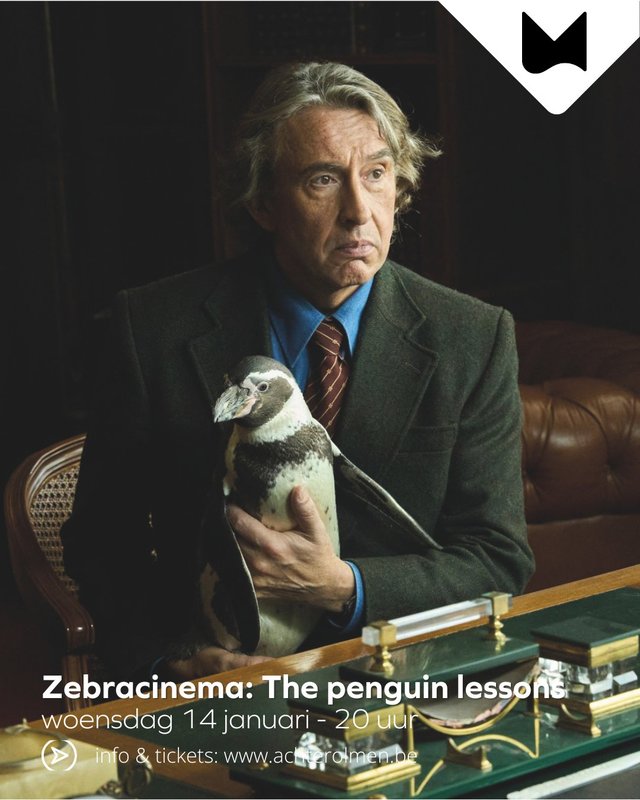 Voorstellingen Zebracinema: penguin lessons