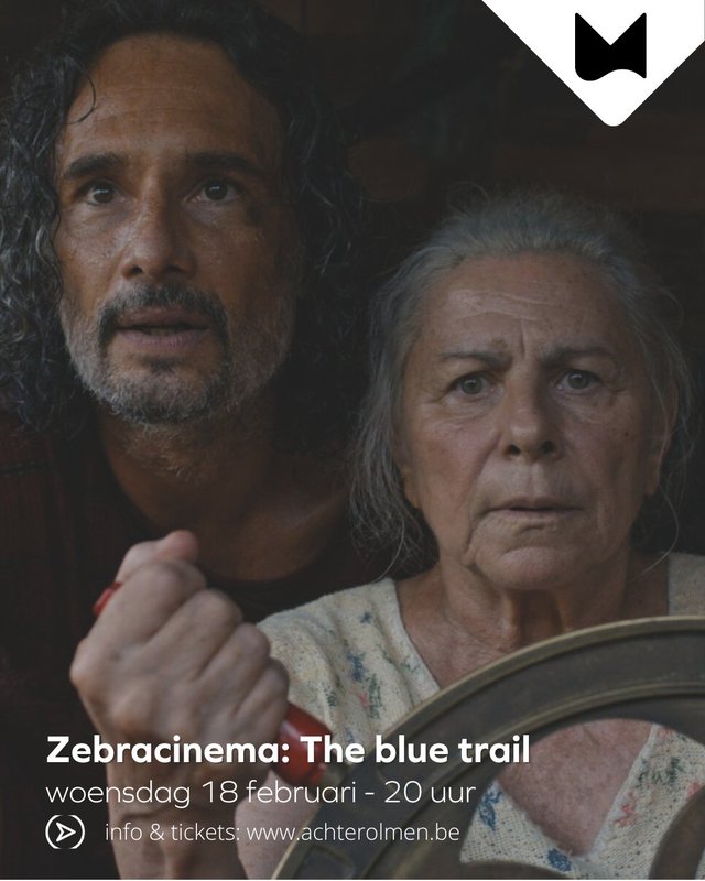 Voorstellingen Zebracinema: blue trail