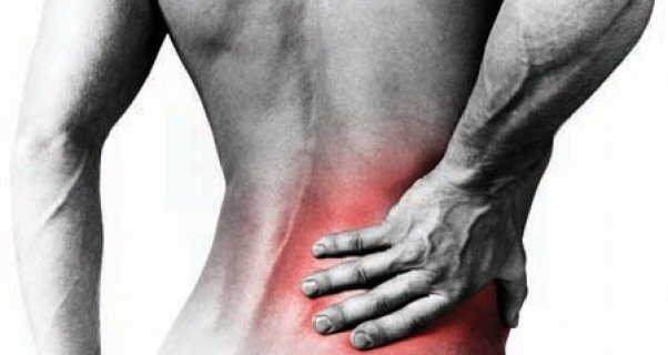 Workshops Core stability training