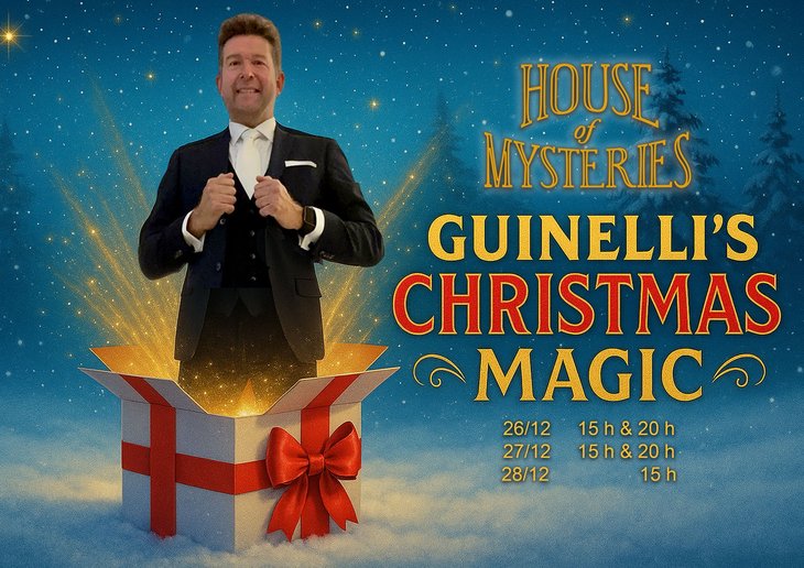 Voorstellingen Guinelli s Christmas Magic