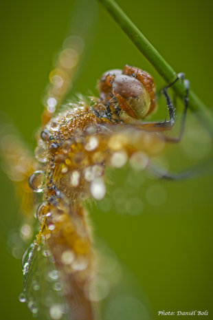 Tentoonstellingen Fototentoonselling