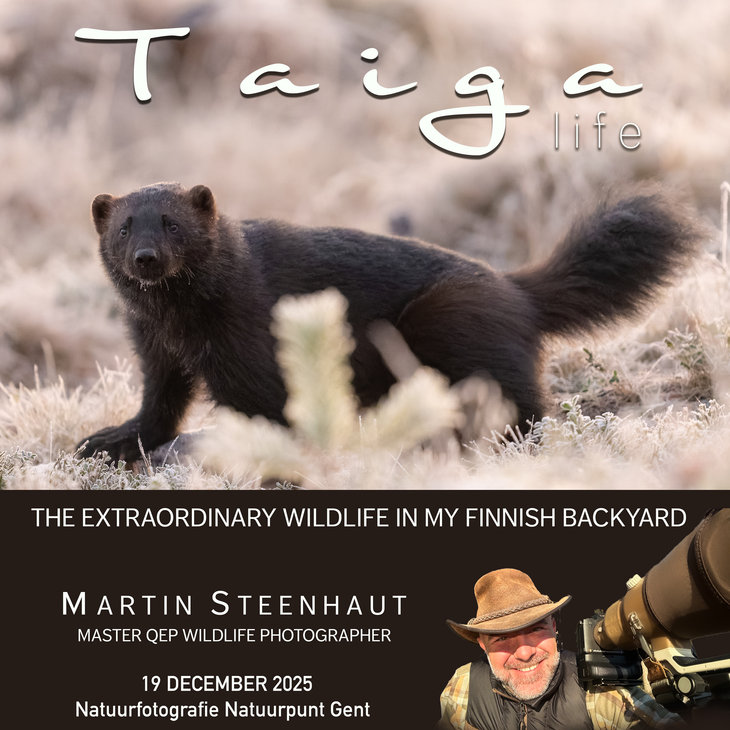 Voorstellingen Fotografiecafé   Martin Steenhaut   Taiga Live