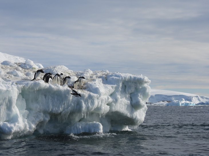 Voordrachten Vrouwen, wetenschap Antarctica