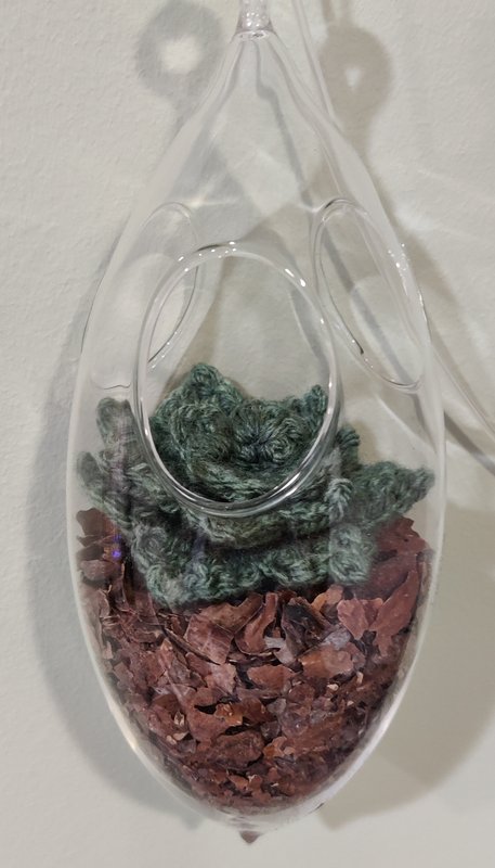 Workshops Vetplantjes / hangplantjes haken