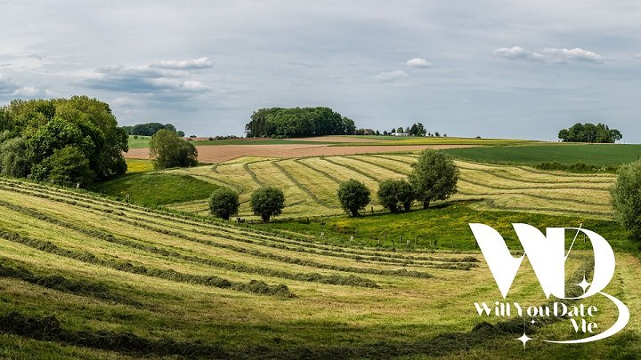 Ontspanning Singles Wandeling door Pajottegem