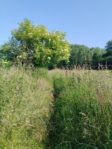 Ontspanning Green Point  Oriëntatielopen: 8 16 + Gemarkeerde wandelingen 5 en