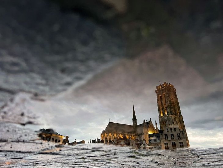 Workshops Workshop smartphonefotografie