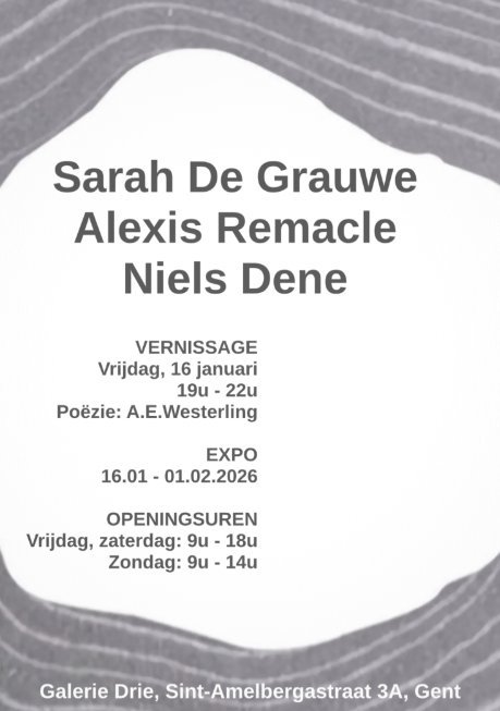 Tentoonstellingen  Tussen lijnen  Niels Dene, Sarah Grauwe Alexis Remacle