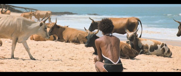 Voorstellingen I Only Rest the Storm Riso Faca) : Lange versie