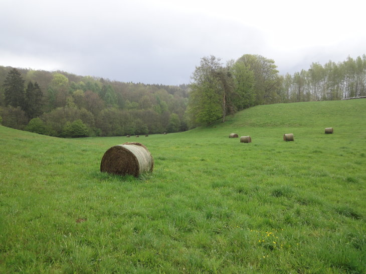 Workshops Wandelvierdaagse de Ardennen