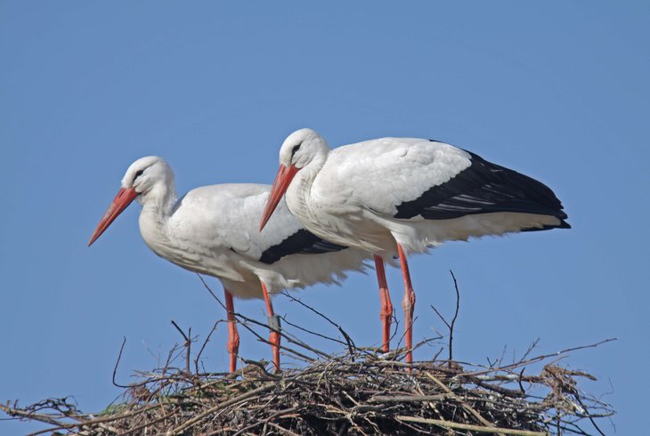 Ontspanning Valentijn het Zwin