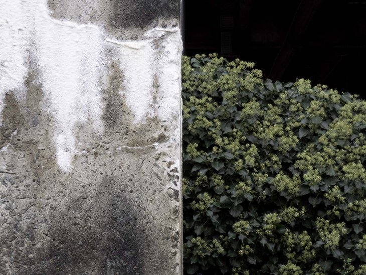 Tentoonstellingen 1/2+1/2=1 kunstwerken Luc Wasteels