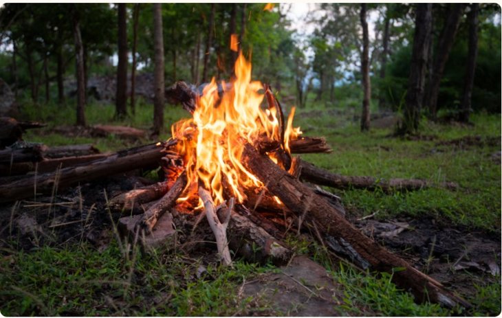 Ontspanning Wwf Rangerclub: Bushcraft