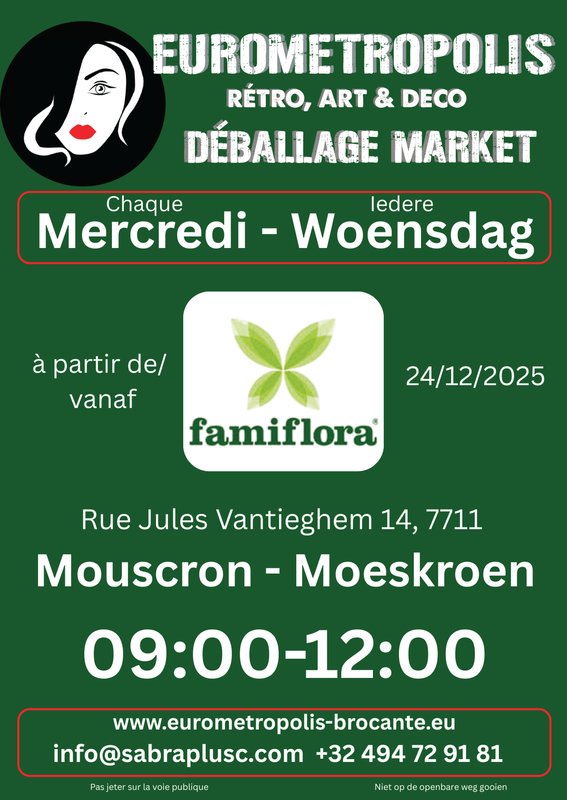  Eurometropolis Brocante Déballage