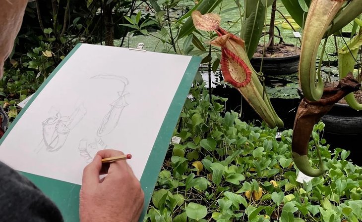 Workshops Masterclass natuurtekenen aquarelleren Marijke Meersman