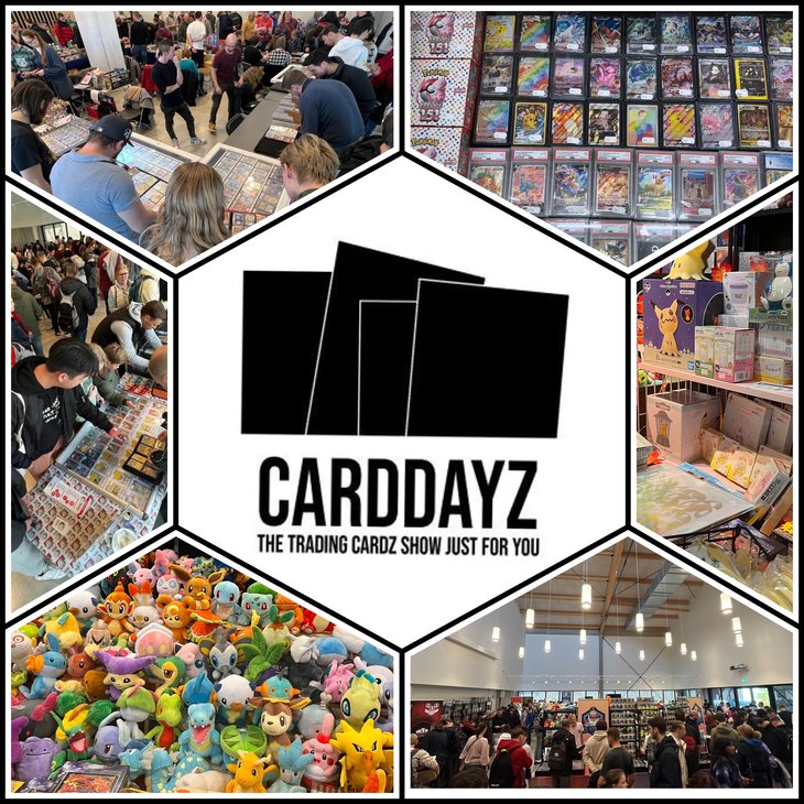 Ontspanning Carddayz Brugge