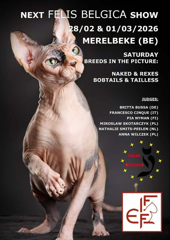 Tentoonstellingen Kattenshow