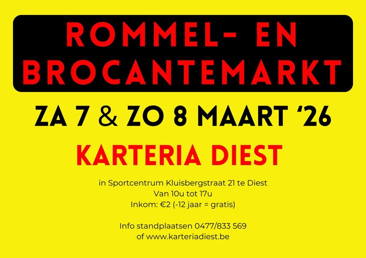  Grote daagse rommel brocantemarkt