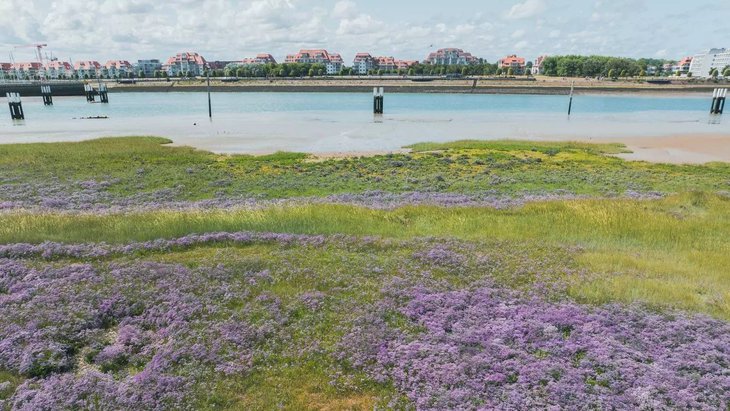 Ontspanning Natuurreservaat Ijzermonding - stap de gids - nl