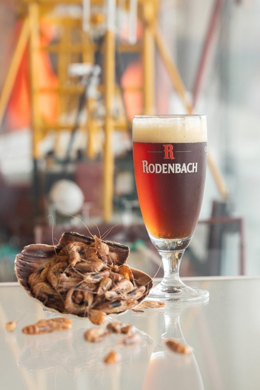 Ontspanning Van Pittig Bruintje Grijze Garnaal