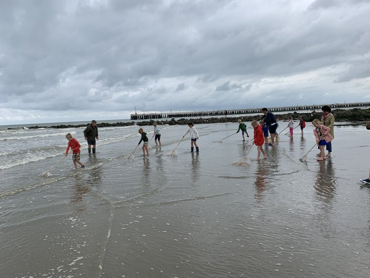 Ontspanning Op jacht Gust Garnaal - stap de gids - nl